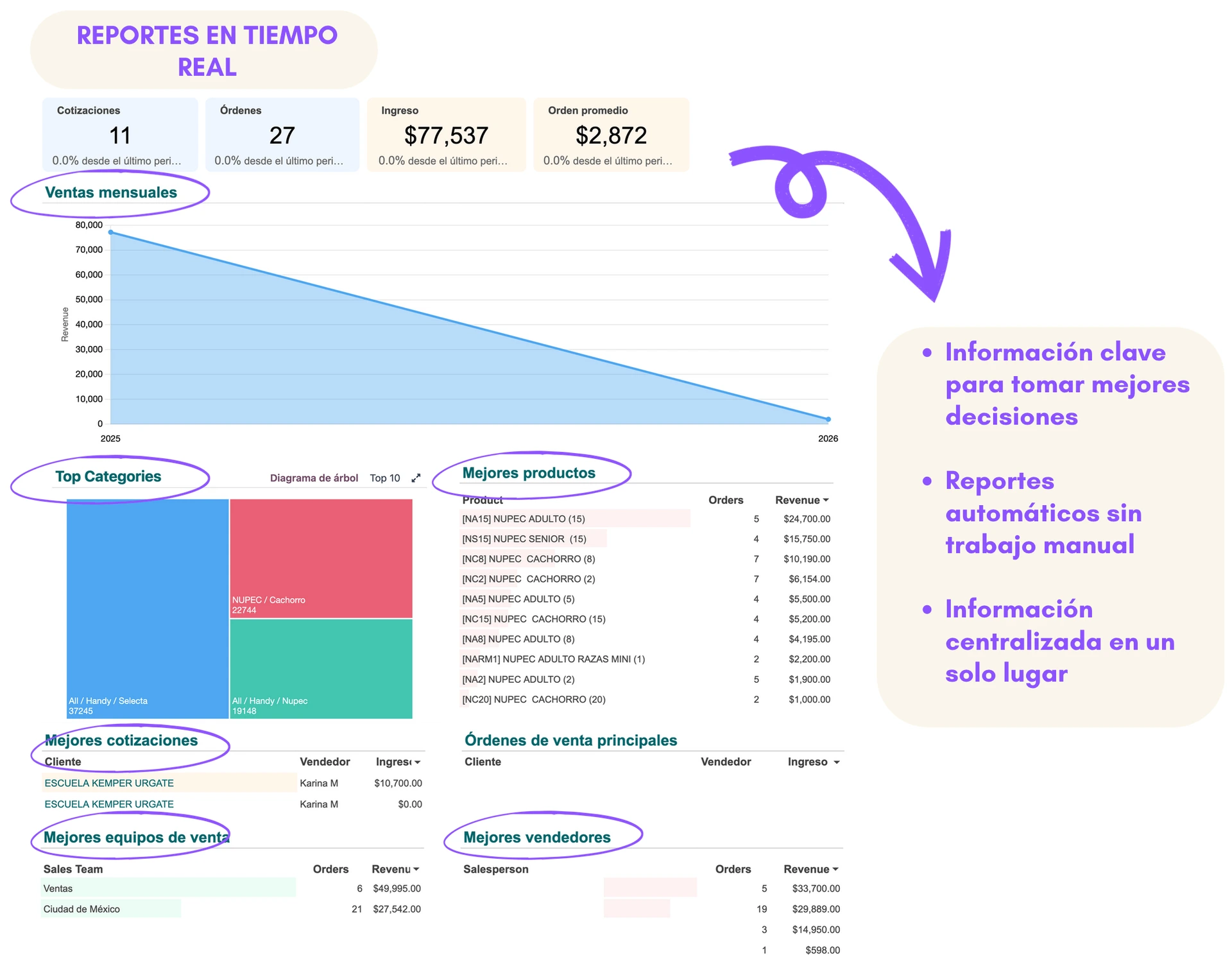 reportes petshop sijap