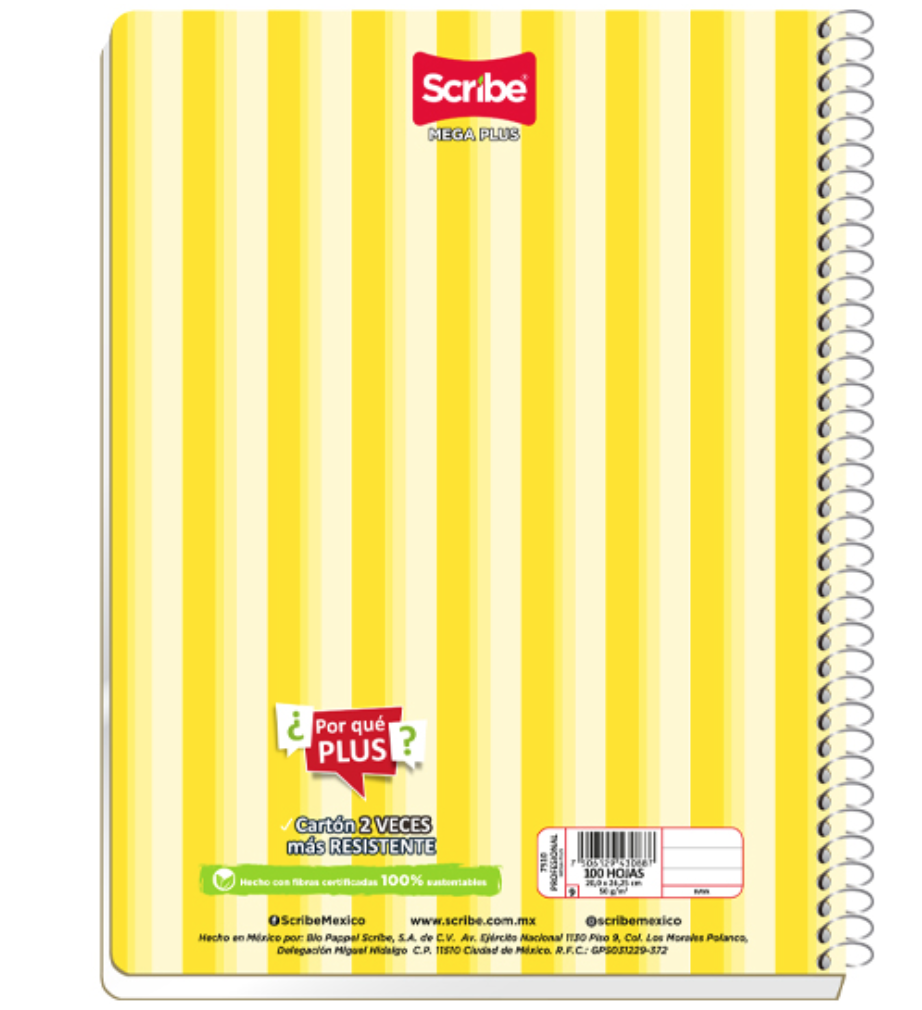 Cuaderno espiral forma francesa Estrella raya 100 hojas	