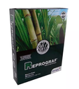Papel bond Ecológico carta Reprograf blancura 92% 75gr