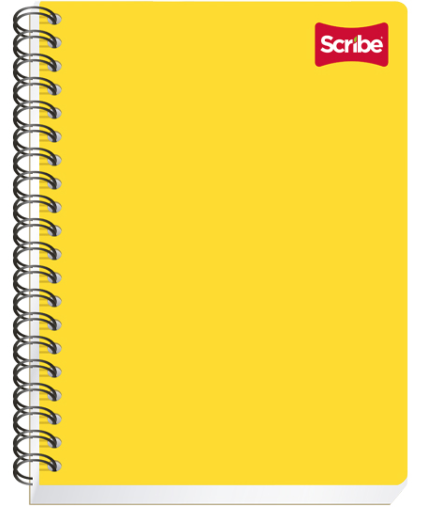 Cuaderno Scribe profesional clásico cuadro chico (5 mm), con 100 hojas	