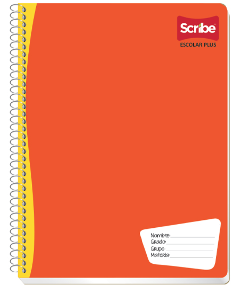 Cuaderno Scribe profesional escolar plus cuadro chico (5 mm), con 100 hojas	