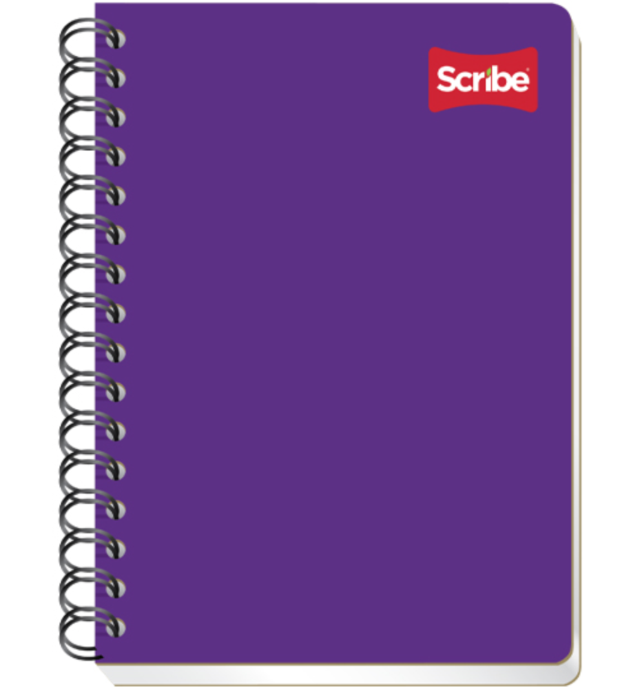Cuaderno Scribe forma francesa clásico cuadro chico (5 mm), con 100 hojas	
