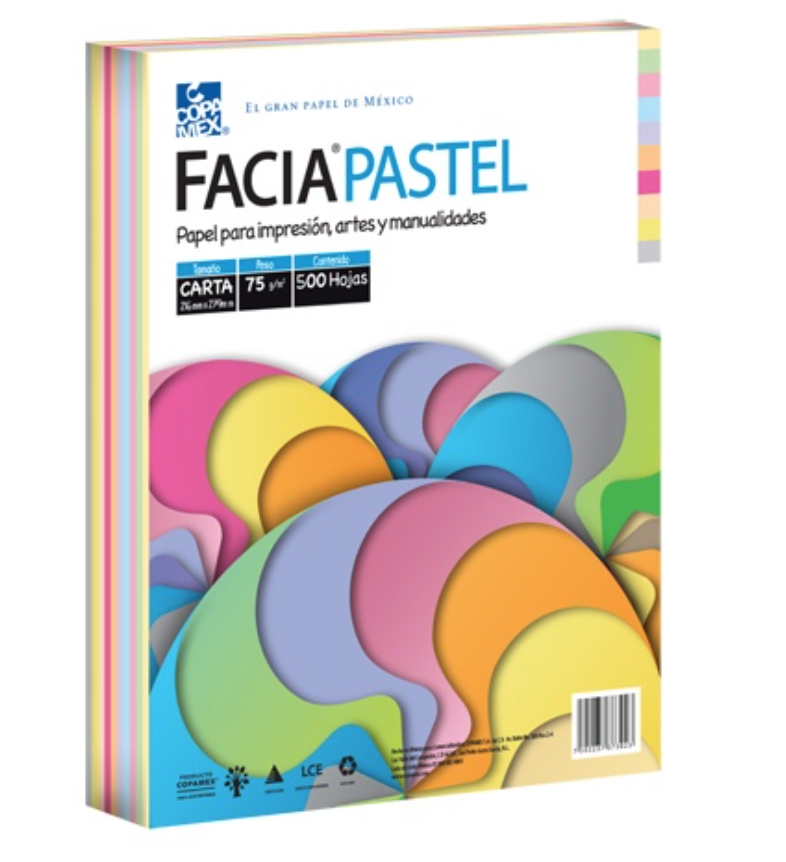 [COP-PAP-HITEC] Paquete de hojas de color Facia Pastel tamaño carta mix 10 colores 75gr 500 hs